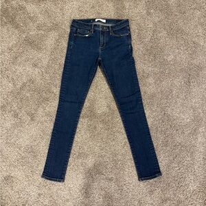 Banana Republic Dark Blue Skinny Jeans - Petite 25